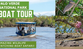 Palo Verde Wildlife Adventure Boat Ride