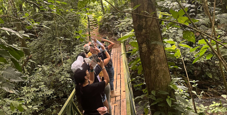 Sloths Territory by Tenorio Volcano One day Adventure