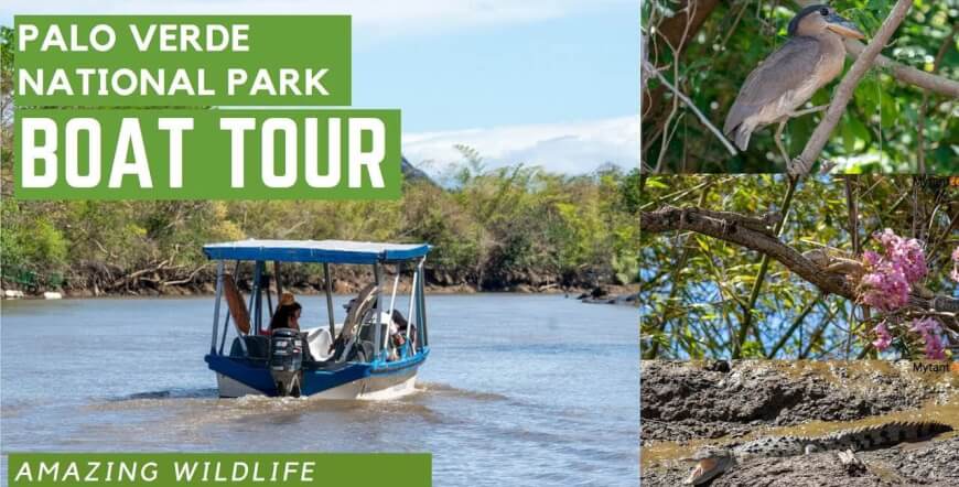 Palo Verde Wildlife Adventure Boat Ride